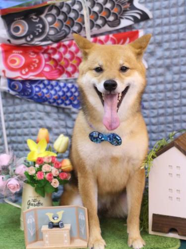 20230519リンちゃん